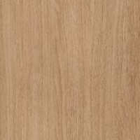 Aviva Oak